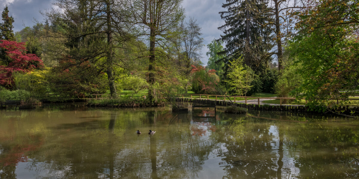 No rape took place outside Epsom