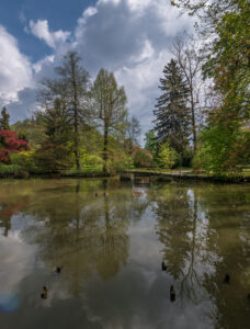 No rape took place outside Epsom