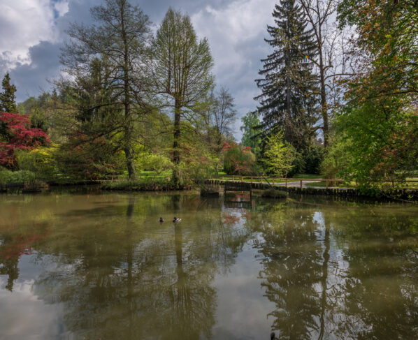 No rape took place outside Epsom