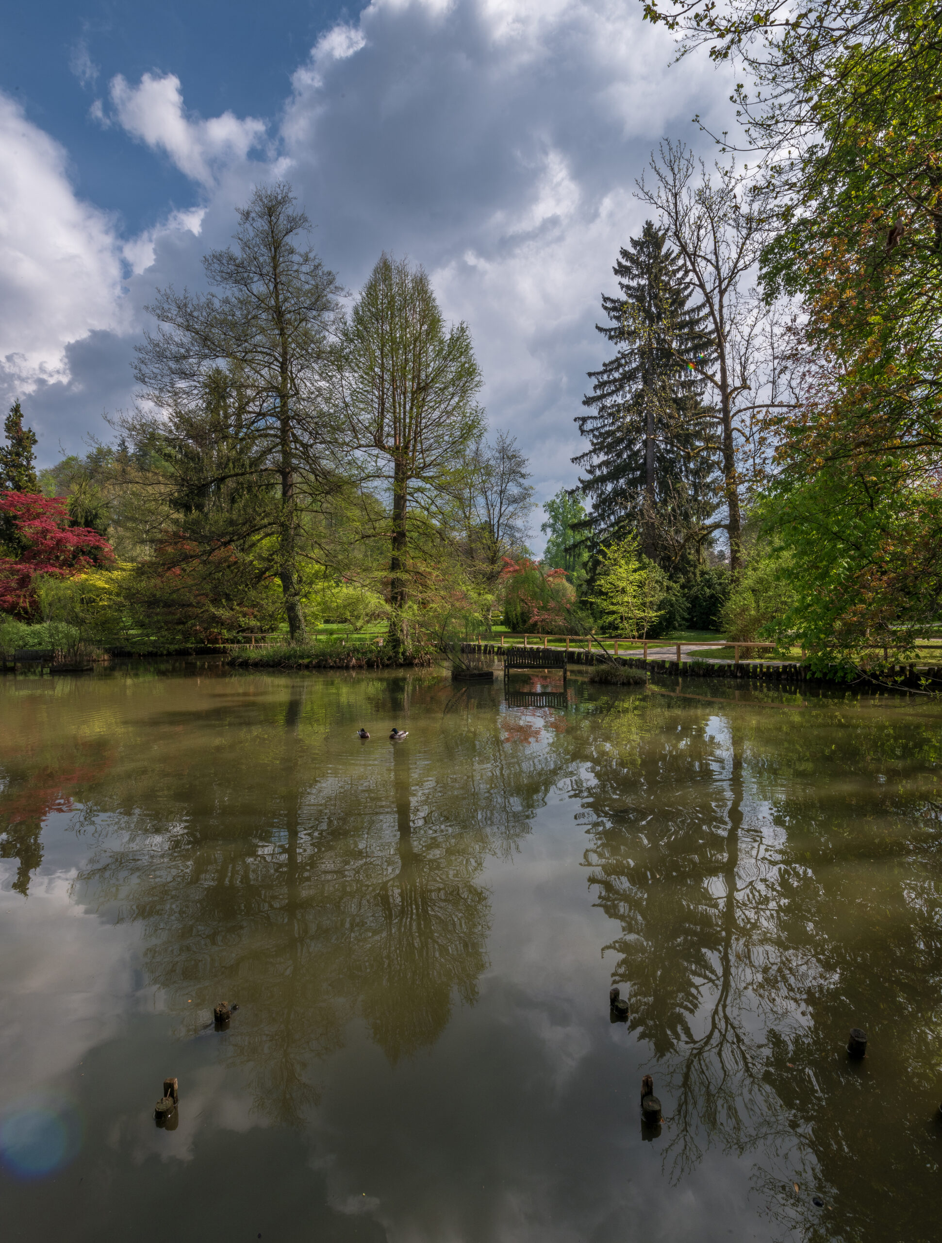 No rape took place outside Epsom church, say police