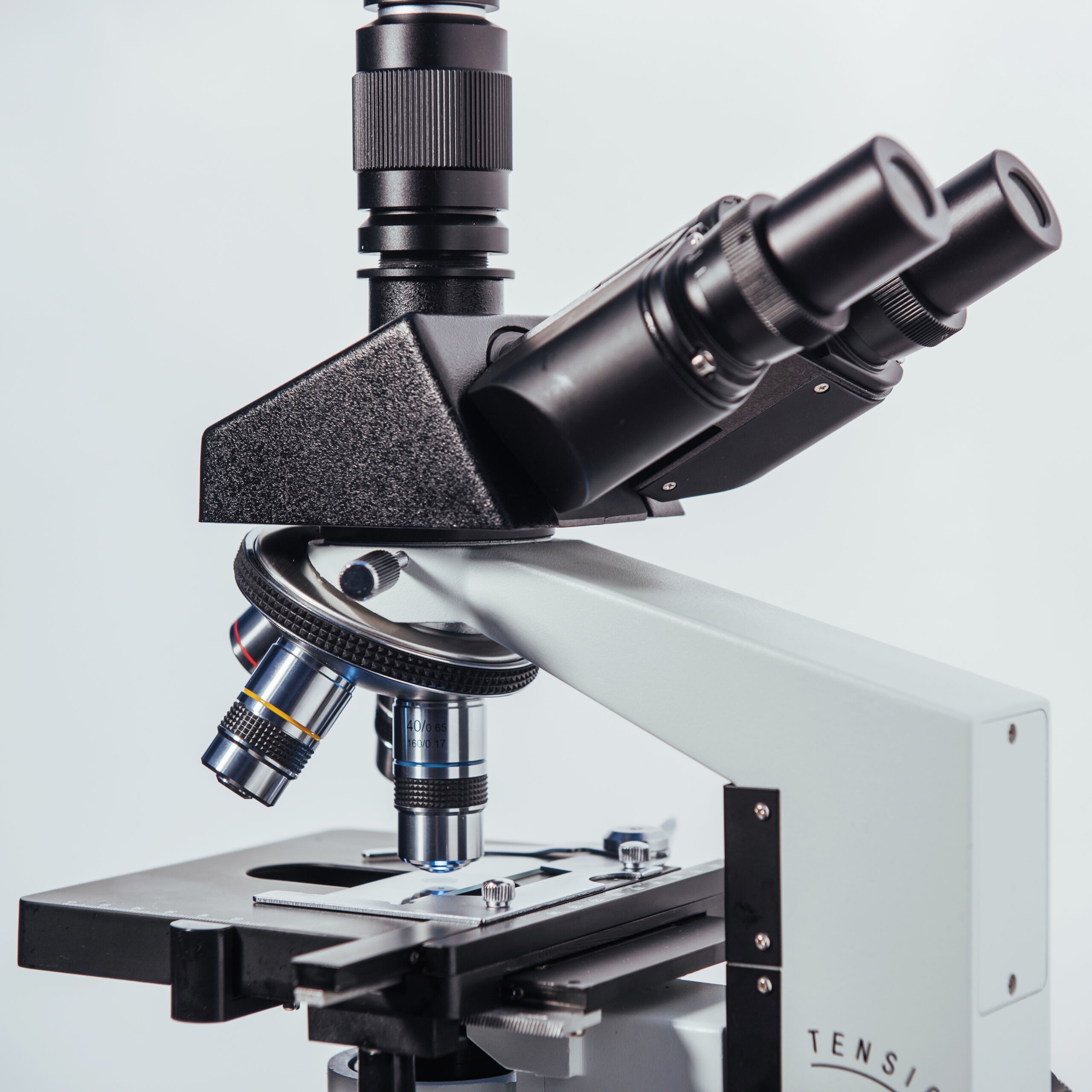 Eleanor 64 Case Study