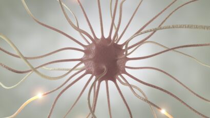 Pamela 43 Case Study