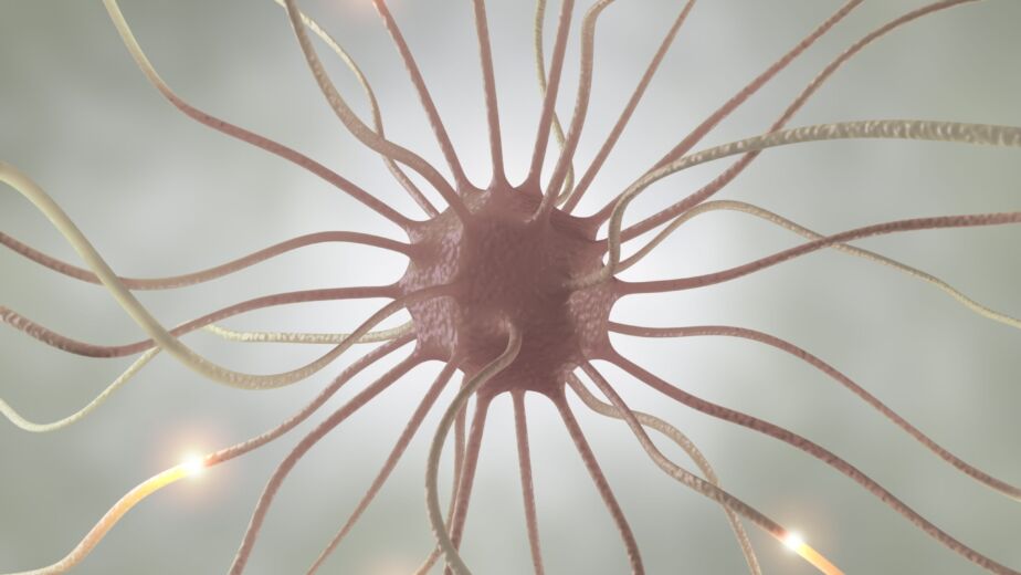 Pamela 43 Case Study