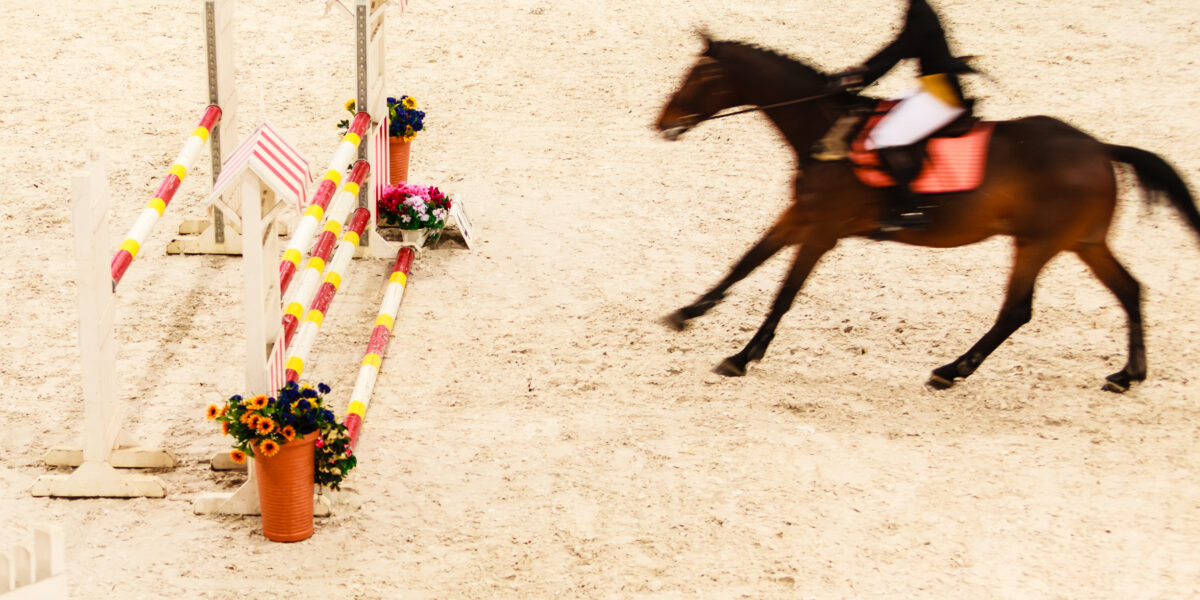 Future of historic common ridings 'in jeopardy'