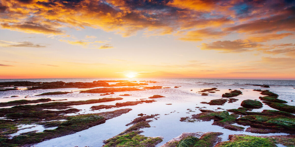 Reform's Welsh leader confirms manifesto costings U-turn