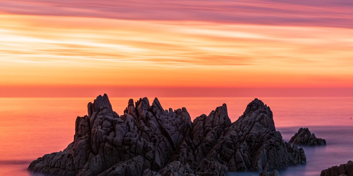 Who is Reform UK's Welsh leader Dan Thomas