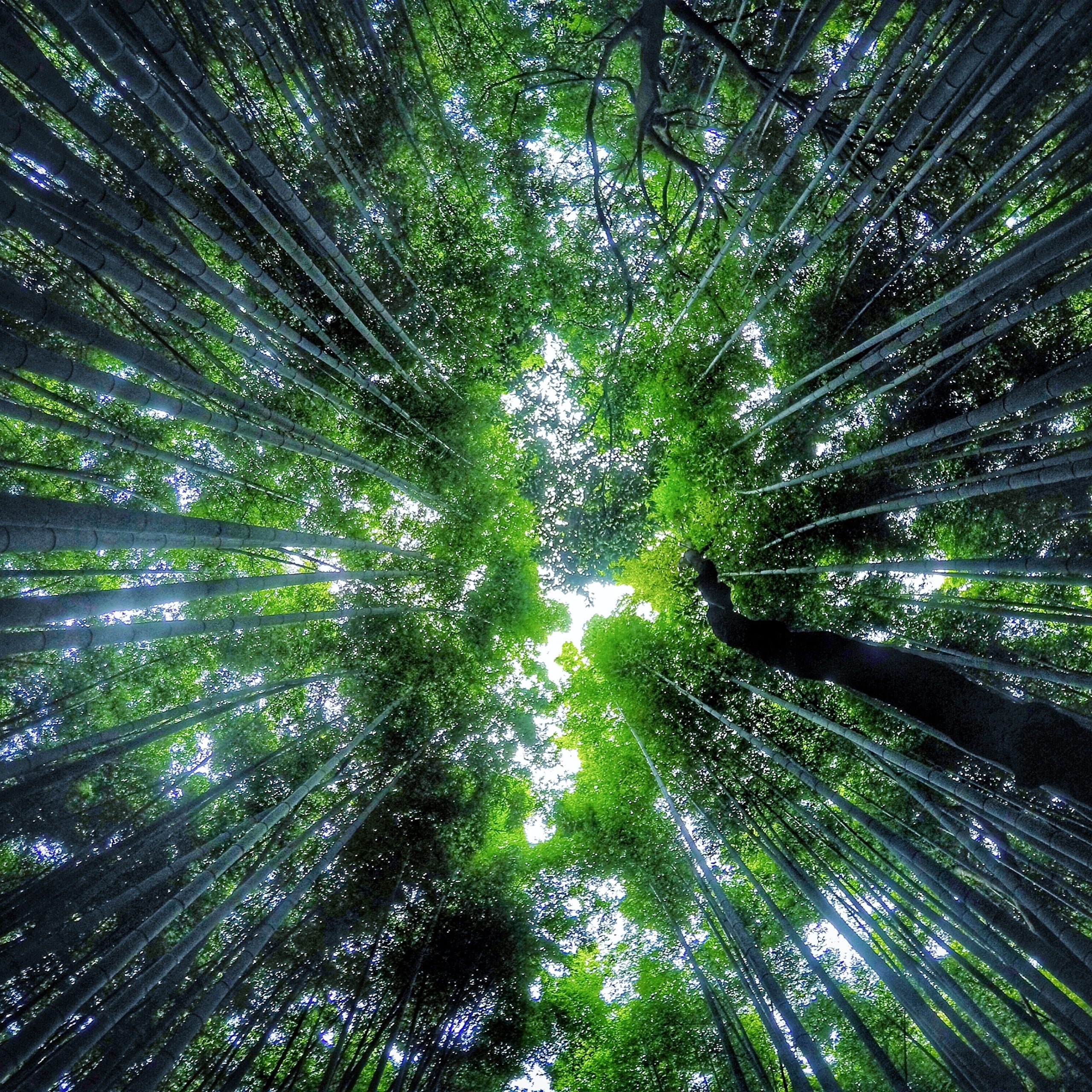 Shiga